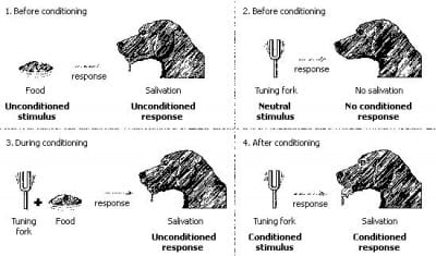 Condizionamento Pavlov