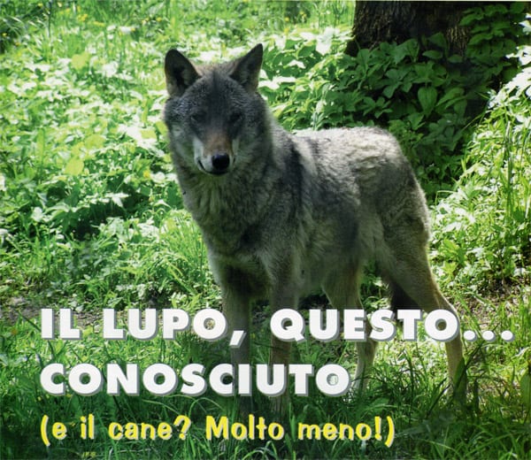 lupo_conosc