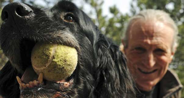 Ma guardate un po’?!? “La dominanza NON è un mito”. Parola di Bekoff e Mech