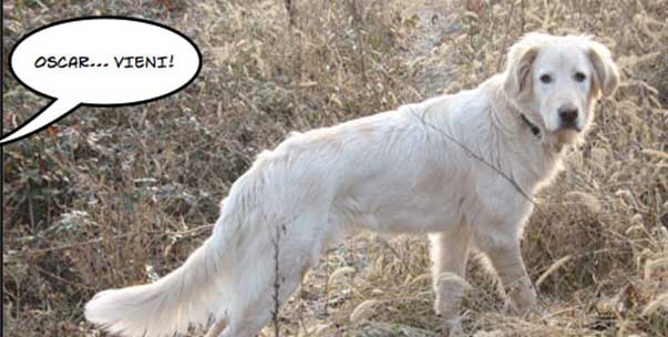 Le avventure di Oscar – terza parte