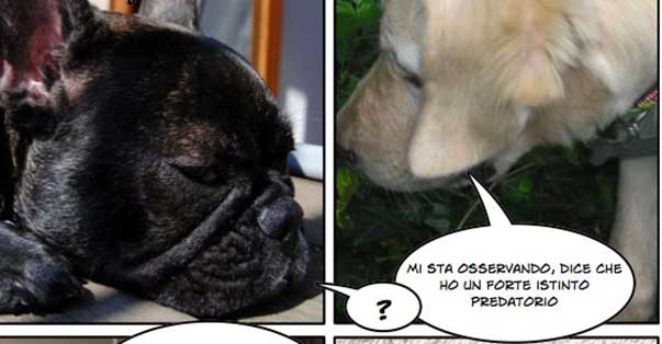 Le avventure di Oscar – seconda parte