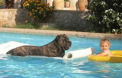 corso_per_bambini_in_piscina