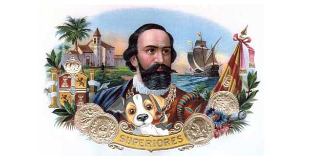 Il Jack a cavallo del tempo