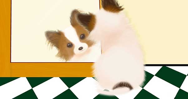 Il vademecum della Sciuramaria – parte prima: capire a cosa si va incontro