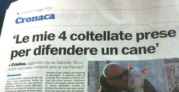 Accoltellato per difendere un cane
