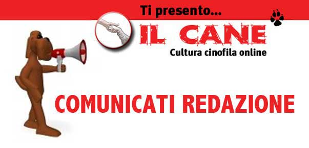 Avola, anno secondo: si riparte!