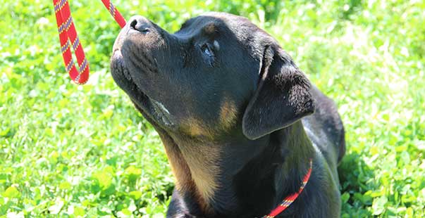 Quando la tua maestra è Valeria Rossi