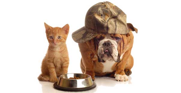 Cooperazione o “copyright” ?