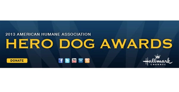 Un pit bull finalista degli “Hero Dog Awards” per la categoria “pet therapy”