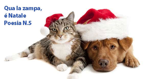 Qua la zampa, è Natale: poesia N.5 – E’ Natale anche lassù sur ponte