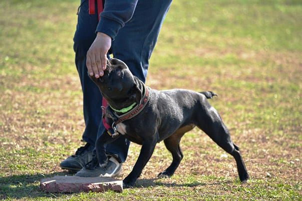 733776_10200899949762114_1762027732_n