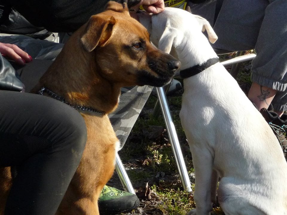 1926669_10150368128949990_1705276374_n