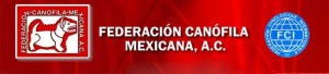 federazione_messicana