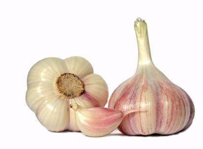 Garlic (isolated)