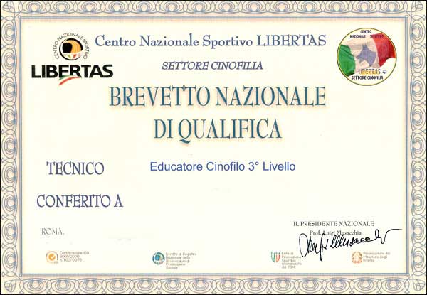 diploma2