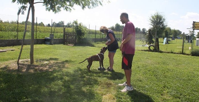 Il lavoro con il pad