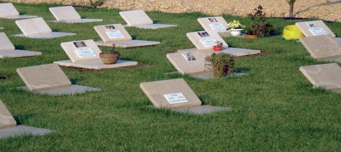 Eutanasia troppo facile: nuovi casi allarmanti