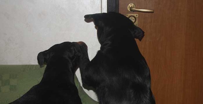 Il rientro a casa (e l’uscita da casa): come gestirli