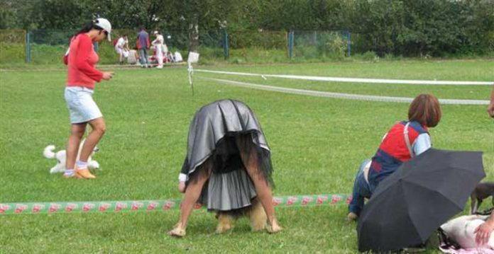 Ma che razza di… handler ho?