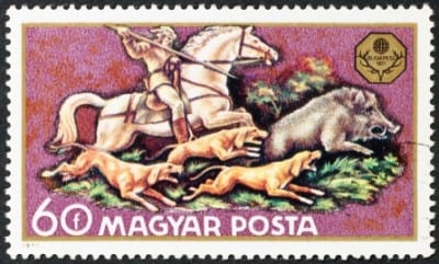 iStock_000014994154XSmall