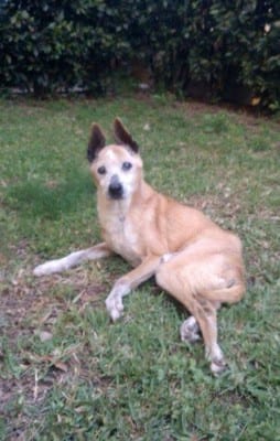 10899702_10204473309185064_6780416_n