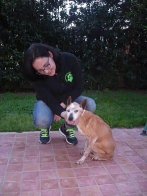 10884493_10204473256623750_6991627_n