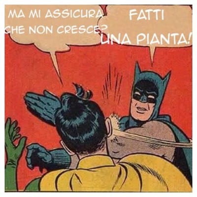 assicurista