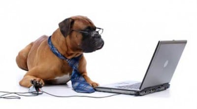 dog-computer1