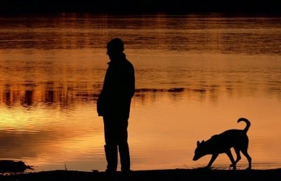 A man and his dog take a walk as sun set