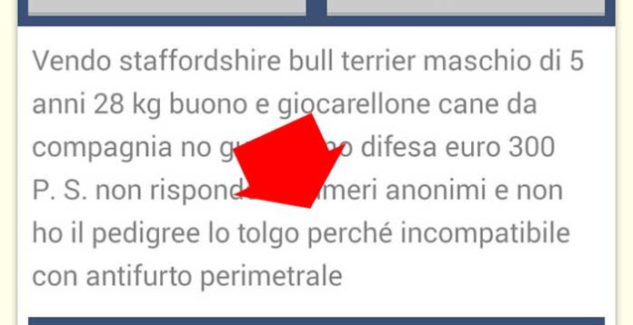 Solo ignoranza… o vero maltrattamento?