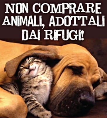 non_comprare_animali_colore