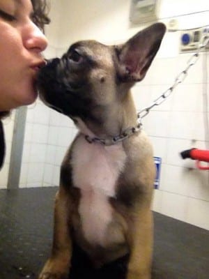 11079132_10153174529237505_1328588261_n