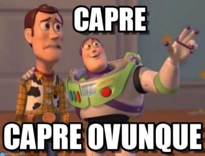 11074620_10206069303353633_1906443607_n