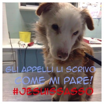 10877370_10206066814291408_2131269304_n