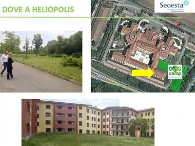 Dog-Camp-Helio-TP-MB-6315-3