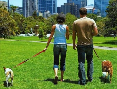 passeggiare-con-il-cane
