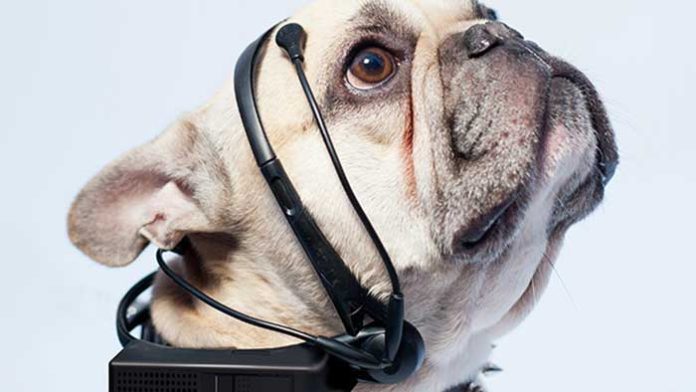 I traduttori abbaio-parole umane…