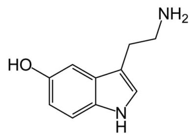 serotonina