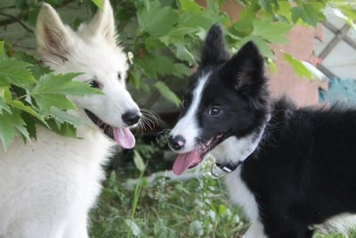 11701499_10207469777965377_2043854605_o