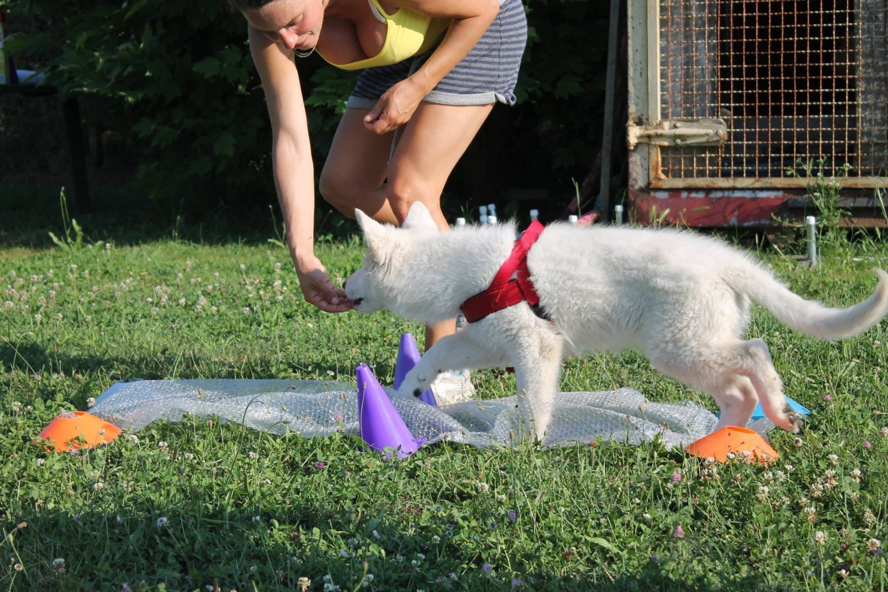 11701360_10207469795205808_899914484_o