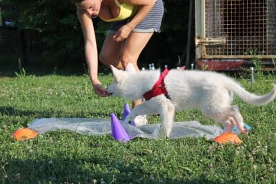 11701360_10207469795205808_899914484_o