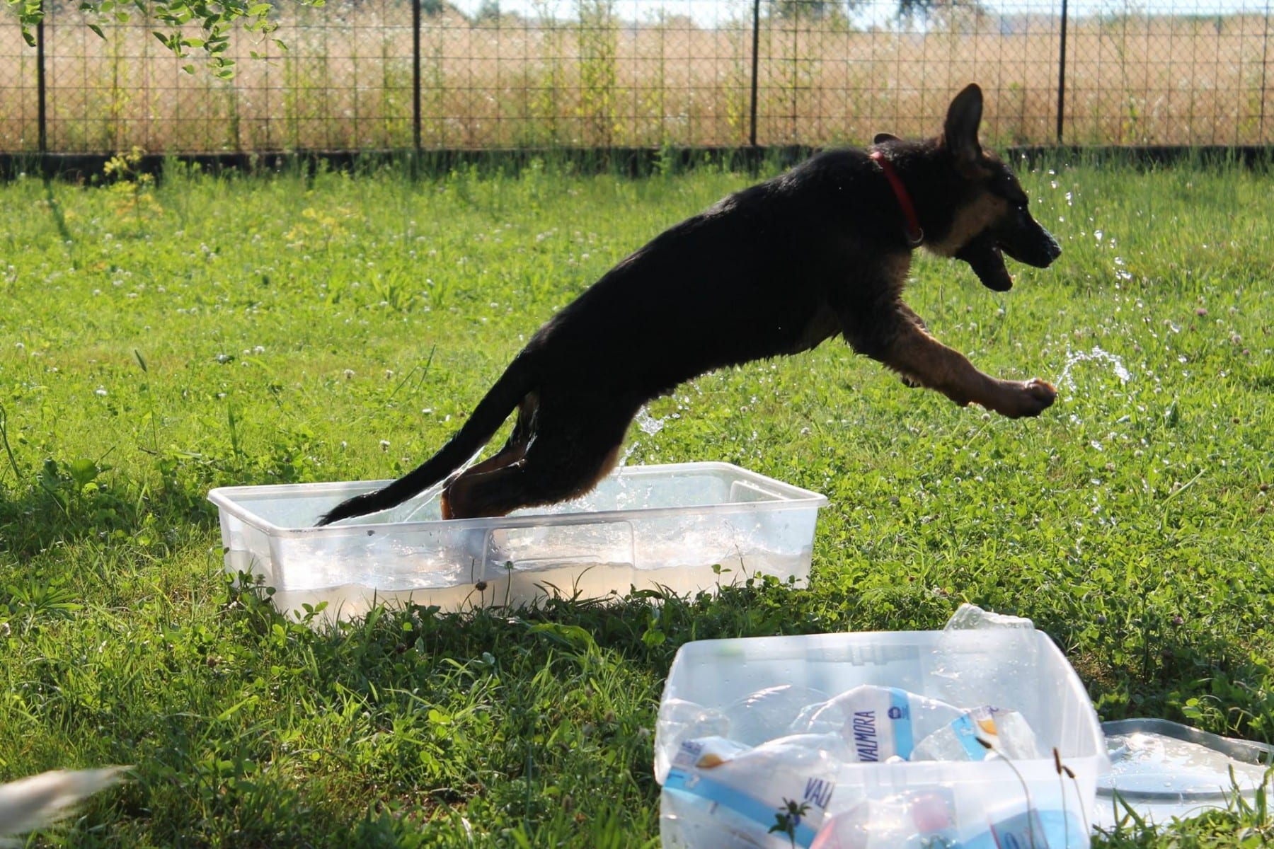 11701333_10207469784885550_787624085_o