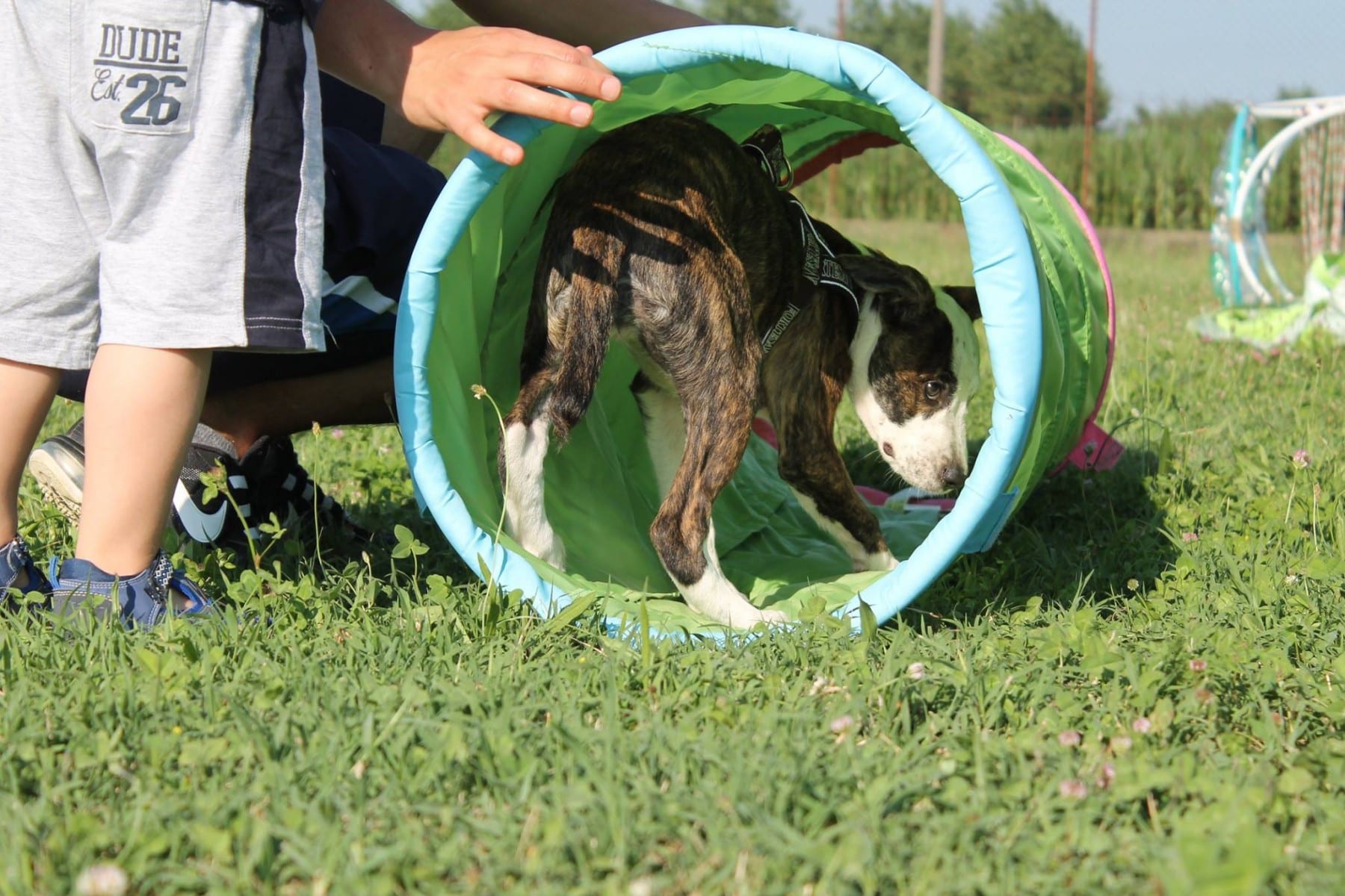 11659146_10207469810446189_1240500801_o