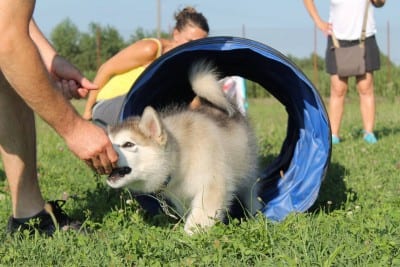 11659068_10207469810206183_1434677409_o