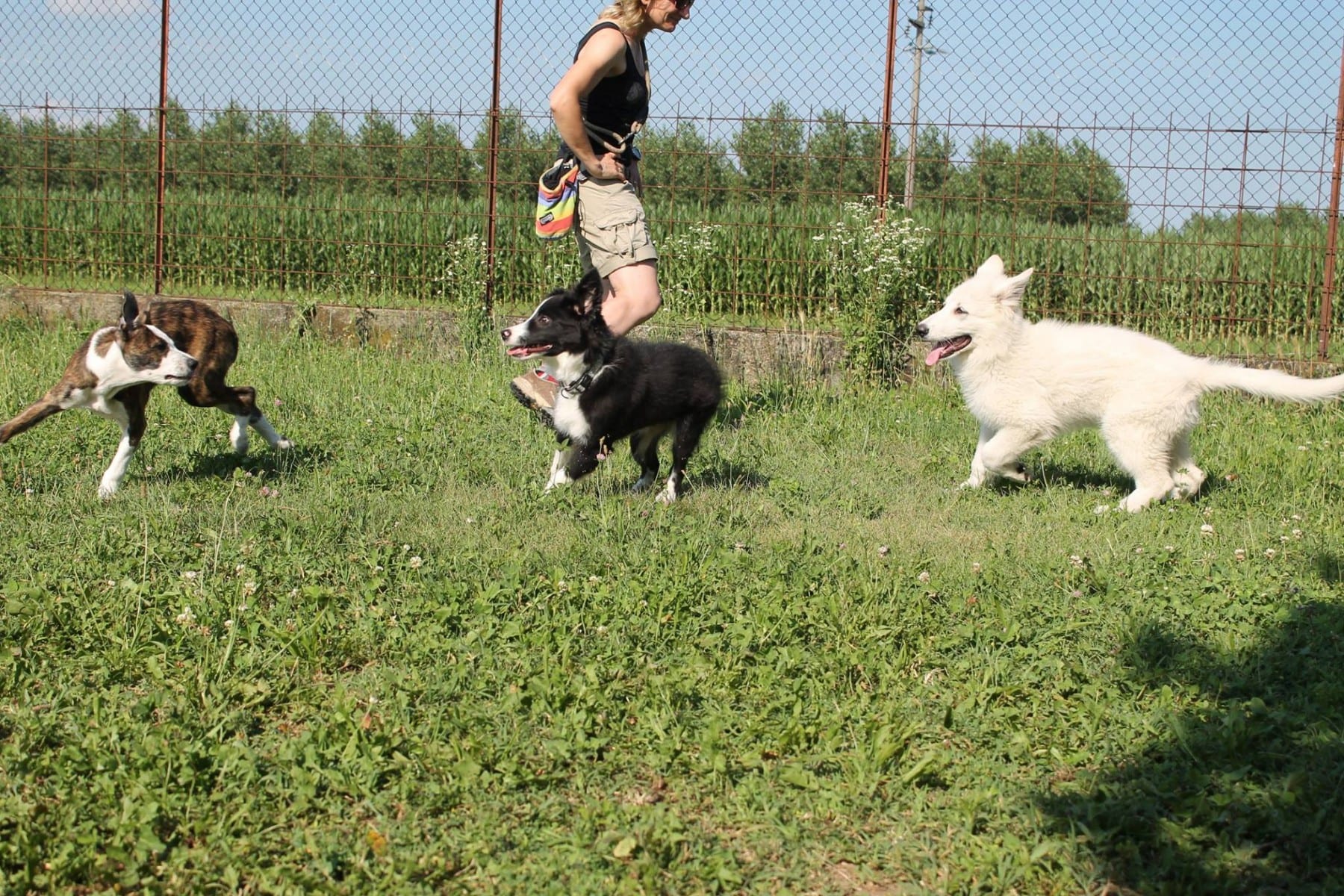 11658977_10207469779485415_1791776940_o