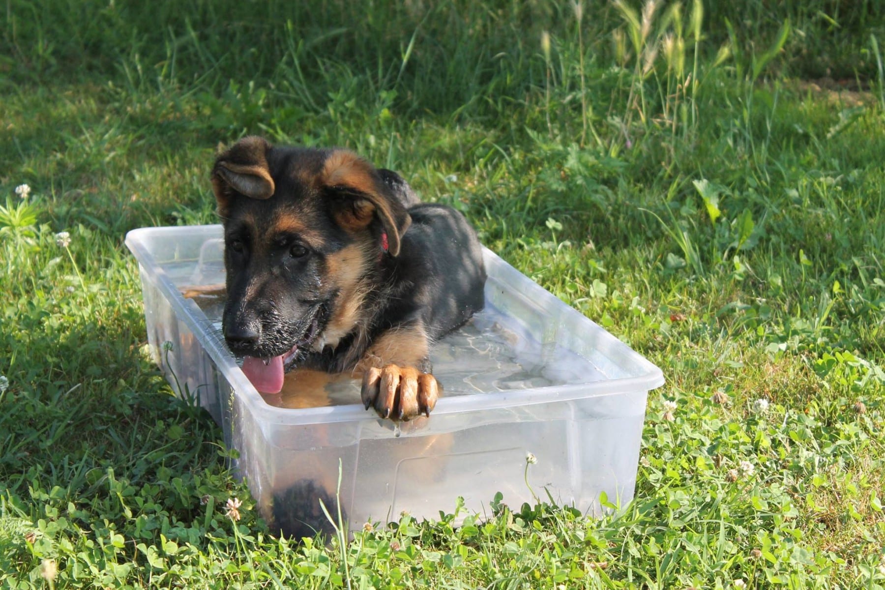 11654116_10207469781405463_1061087435_o