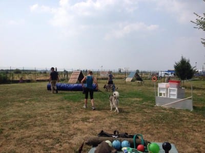 11705155_10205864408881687_8628356085174200043_n