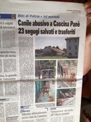 gessatebis_giornale