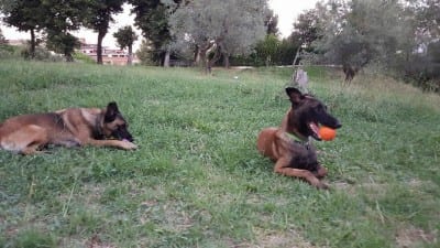 11959996_10207318890240558_4318806913522425632_n