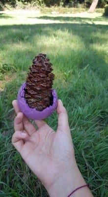 11924905_10207318923081379_7195764770868698492_n